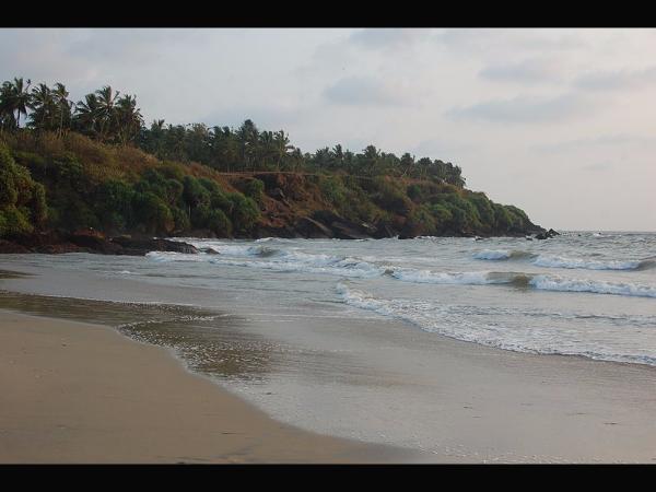 ಅಳಿಕೋಡ್
