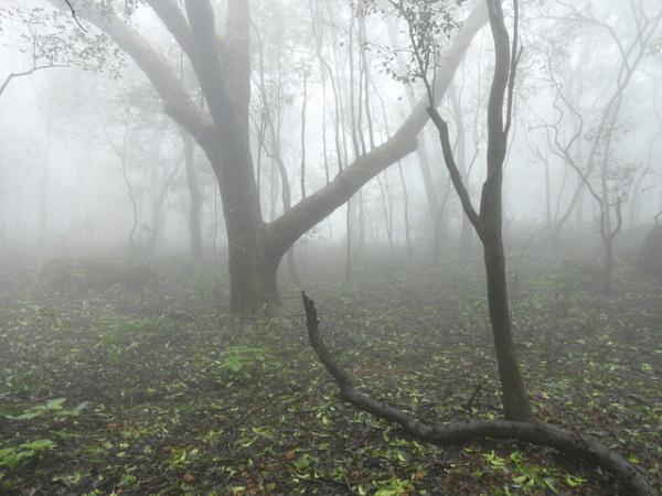 ಭಾರತದಲ್ಲಿ