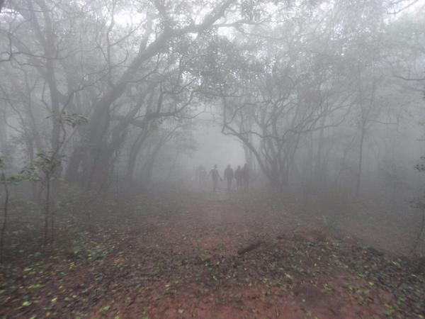 ಕೇಂದ್ರ ಸರ್ಕಾರ
