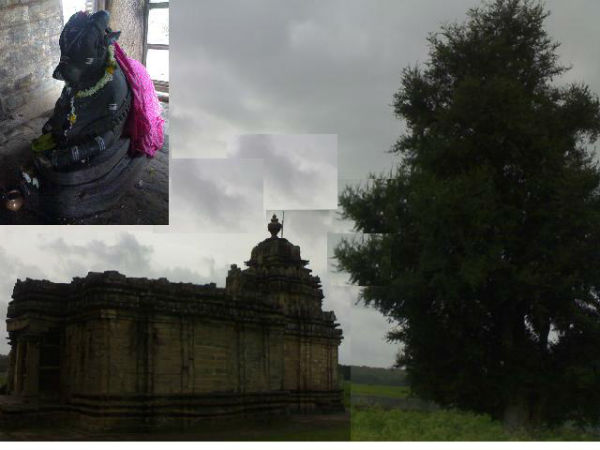 ತಂಬೂರು ಬಸವಣ್ಣನಿಗೊಂದು ಭೇಟಿ! ತಂಬೂರು ಬಸವಣ್ಣನಿಗೊಂದು ಭೇಟಿ!