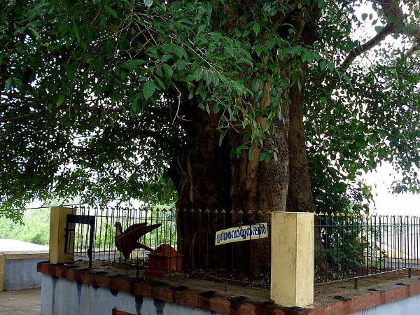 ವಿಲ್ವಾದ್ರಿನಾಥ ರಾಮನ ಒಂದು ಮುಖ್ಯ ದೇವಾಲಯ ವಿಲ್ವಾದ್ರಿನಾಥ ರಾಮನ ಒಂದು ಮುಖ್ಯ ದೇವಾಲಯ
