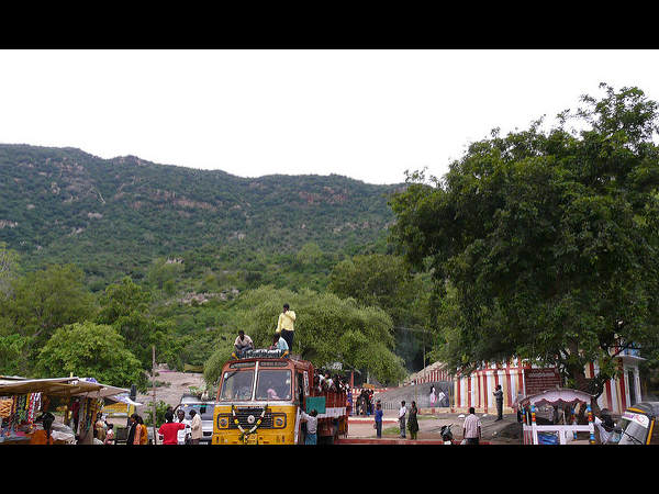 ಚುಂಬಕದಂತೆ ಸೆಳೆಯುವ ಎಳಗಿರಿ! ಚುಂಬಕದಂತೆ ಸೆಳೆಯುವ ಎಳಗಿರಿ!