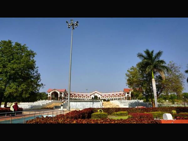 ವಿವಿಧ ಸಸಿಗಳು