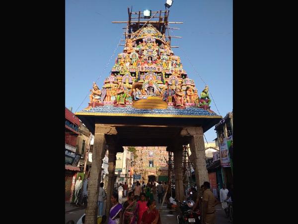 ತಾವರೆ ಹೂವುಗಳು