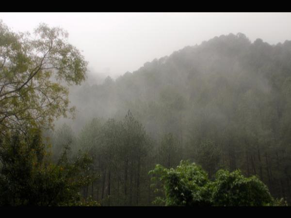 ನೋಡಲೇಬೇಕಾದ