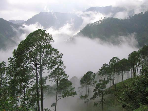 ಪ್ರಶಸ್ತವಾಗಿದೆ