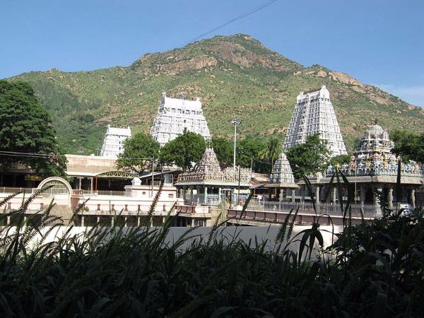 ಆಸಕ್ತಿದಾಯಕ