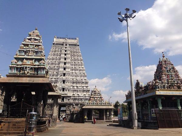 ಹತ್ತು ಹೆಕ್ಟೇರ್