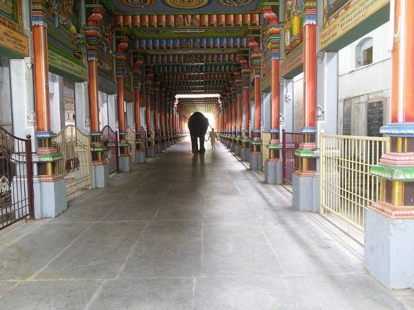 ಸಾಕಷ್ಟು ಮಹತ್ವ