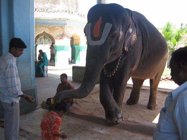 ಬ್ರಹ್ಮ ಹೇಳಿದ್ದು