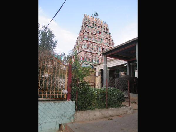 ಉಪ್ಪಿಲಿಯಪ್ಪನನಾಗಿ