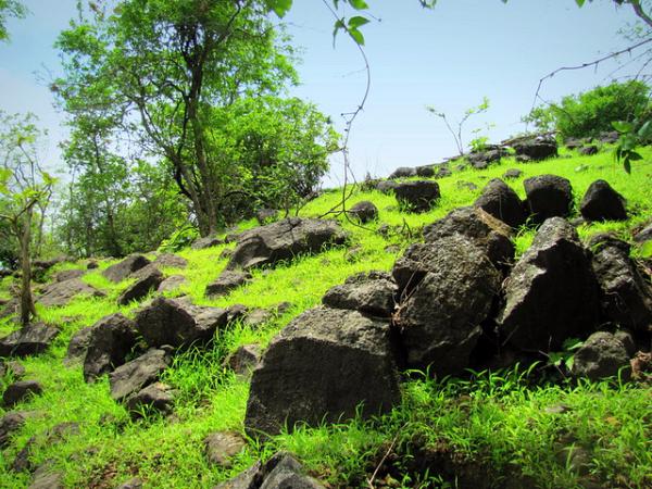 ಜೋಪಾನ
