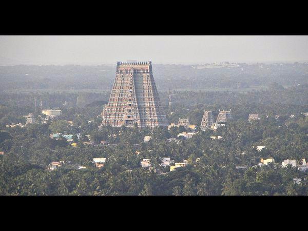 156 ಎಕರೆಗಳಷ್ಟು!