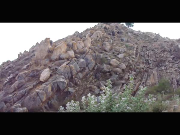 ವಿಷ್ಣುವರ್ಧನನಾದ