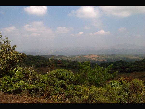 ಚಿಲಿ-ಪಿಲಿ ಕಲರವ