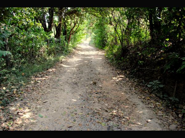 ಬೆಂಗಳೂರು-ಮೈಸೂರು