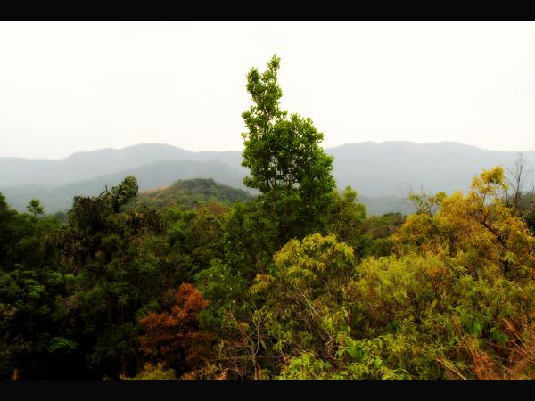 ಅಲ್ಲಿ ಮಾರ್ಗದರ್ಶಿ ಪಡೆಯಿರಿ