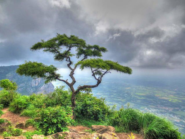 ಪಾಲಕ್ಕಾಡ್