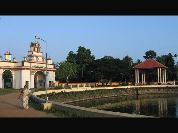 ಕೃಷ್ಣ ವೇಷ ತೊಟ್ಟ