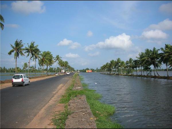 ಅನನ್ಯ ನೋಟವಲ್ಲವೆ?