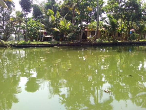 ಒಂದೆಡೆ ಸಮುದ್ರ!