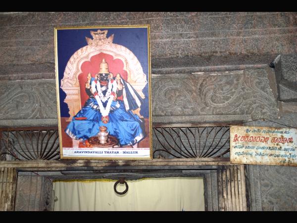 ನದಿಗೆ ಎಸೆದರು