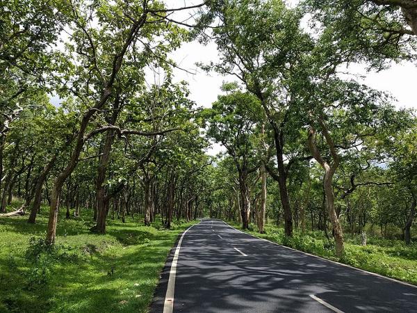 ಖುಷಿಯ ಜೊತೆ ಜೊತೆಗೆ ಭಯ ಹುಟ್ಟಿಸುವ ಬಂಡೀಪುರ! ಖುಷಿಯ ಜೊತೆ ಜೊತೆಗೆ ಭಯ ಹುಟ್ಟಿಸುವ ಬಂಡೀಪುರ!