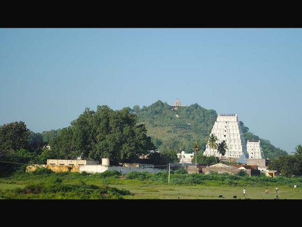 ದೇವಿಕಾಪುರಂ : ಕೃಷ್ಣದೇವರಾಯನ ಜನ್ಮಸ್ಥಳ? ದೇವಿಕಾಪುರಂ : ಕೃಷ್ಣದೇವರಾಯನ ಜನ್ಮಸ್ಥಳ?