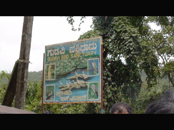 ಗುಡವಿ : ಕರ್ನಾಟಕದ ಅದ್ಭುತ ಪಕ್ಷಿಧಾಮ! ಗುಡವಿ : ಕರ್ನಾಟಕದ ಅದ್ಭುತ ಪಕ್ಷಿಧಾಮ!