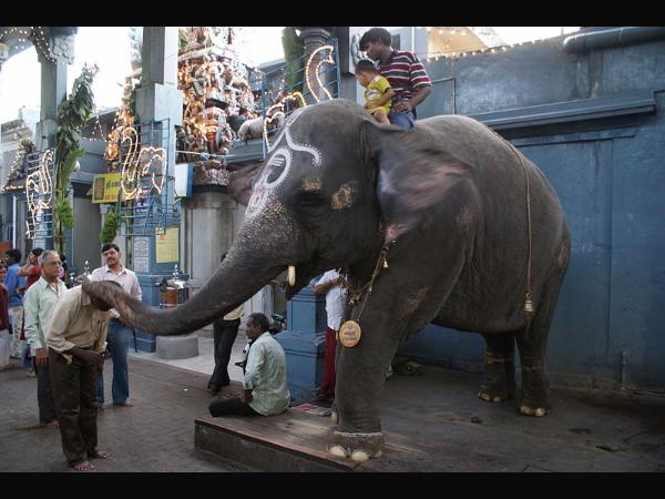 ಪಾಂಡಿಚೆರಿಯ ಮನಕುಲ ವಿನಾಯಕ ದೇವಾಲಯ! ಪಾಂಡಿಚೆರಿಯ ಮನಕುಲ ವಿನಾಯಕ ದೇವಾಲಯ!