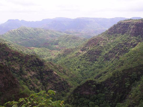 ತೋರಣಮಲ್ : ಎಲೆಯಾಕಾರದ ಪುಟ್ಟ ಗಿರಿಧಾಮ! ತೋರಣಮಲ್ : ಎಲೆಯಾಕಾರದ ಪುಟ್ಟ ಗಿರಿಧಾಮ!