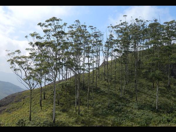 ಪಾರ್ಕಿಂಗ್ ವ್ಯವಸ್ಥೆ
