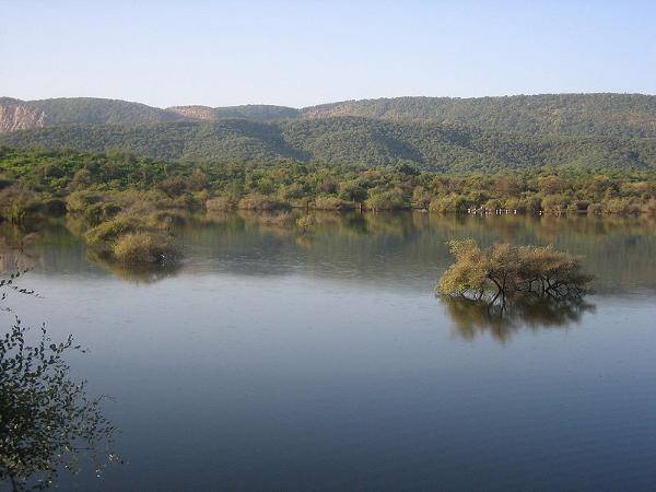 ನೋಡಲೇಬೇಕಾದ