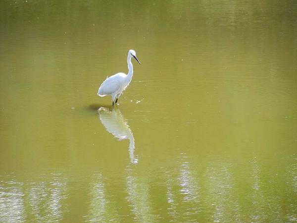 ಚಳಿಗಾಲವೂ ಉತ್ತಮ