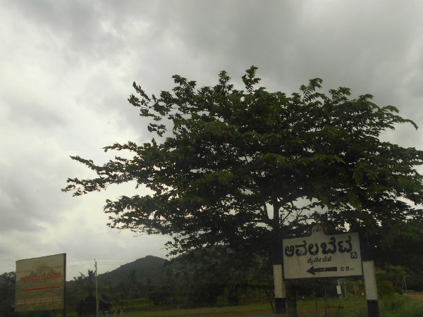 ಆವಲ ಬೆಟ್ಟದ ಒಳಗೆ