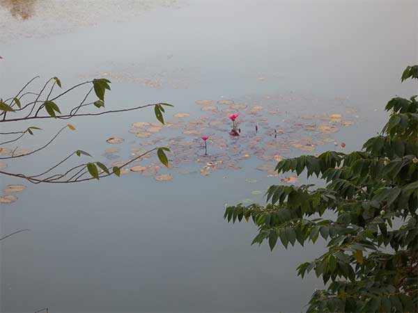 ಇಲ್ಲಿಯ ವಿಶೇಷ