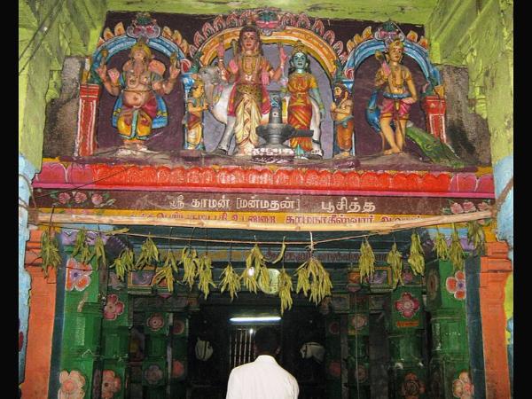 ಅಪರೂಪ