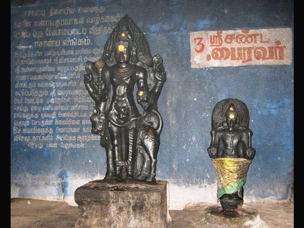 ಎಂಟು ಜನ