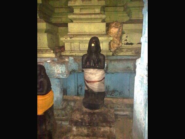 ಫಲಿಸುತ್ತವೆ