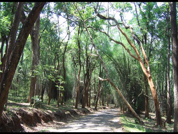 ಪ್ರಸನ್ನತೆಯ ಭಾವ