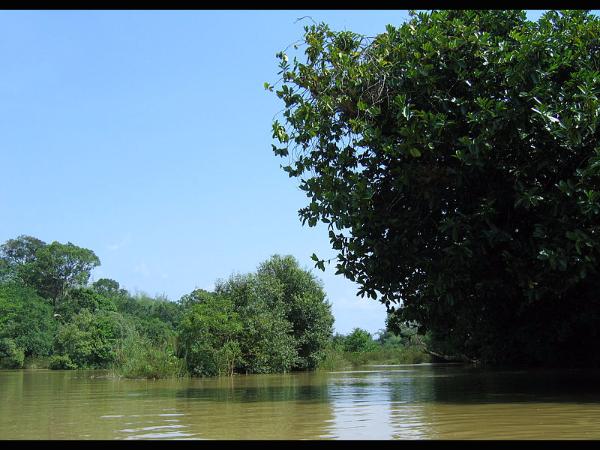 ಮೈಮರೆಯುವಿರಿ!