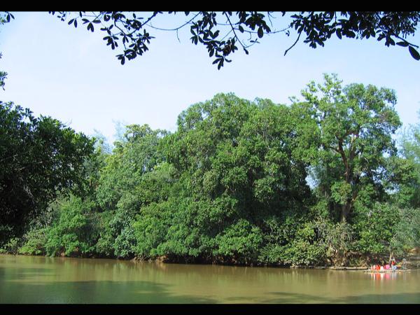ವಿಶಾಲ ತಾಣ