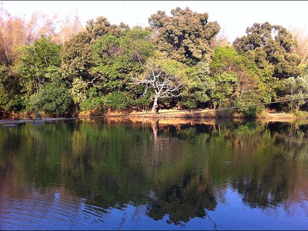 ಮಾನಂತವಾಡಿ