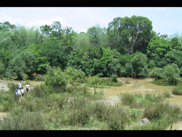 ಈಜಲು ಪ್ರಶಸ್ತ