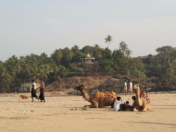 ಬೇರೆ ಮಾರ್ಗ ಉತ್ತಮ