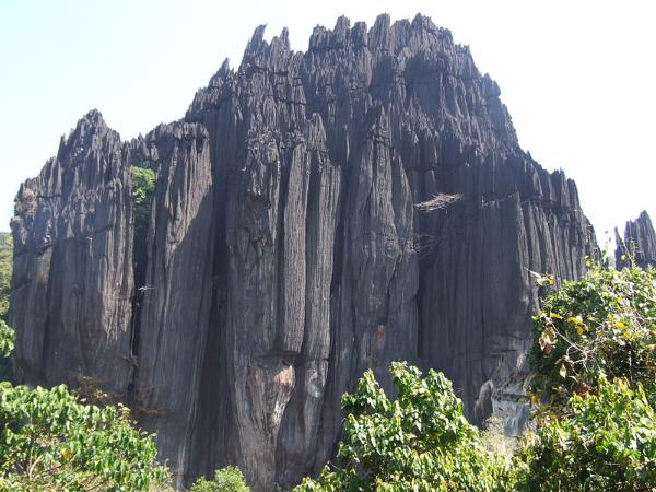 ಮೋಡಿ ಮಾಡುತ್ತವೆ
