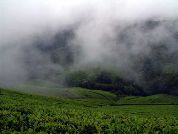 Meghamalai Tourism Meghamalai Tourism