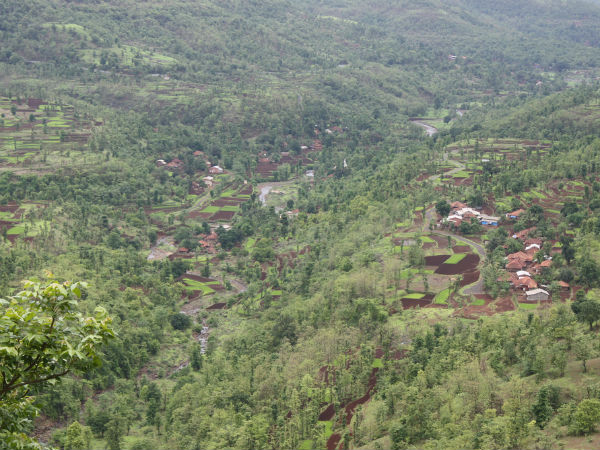 ಸಹ್ಯಾದ್ರಿಯ ಕಶೇದಿ ಘಟ್ಟ