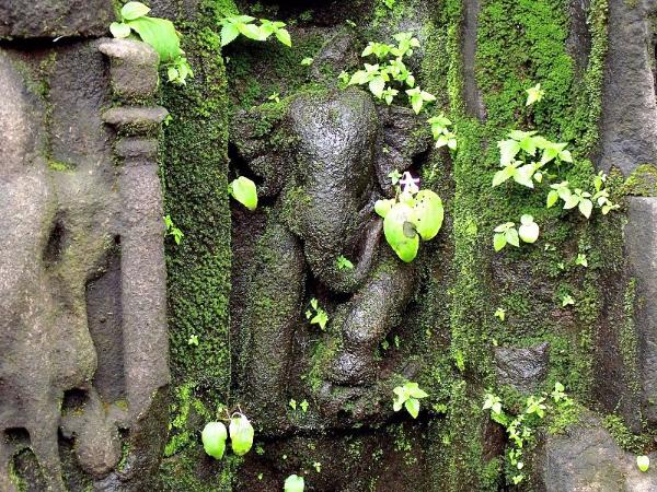 ಕಾಲಚೂರಿಗಳು