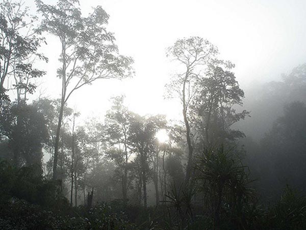 ದಾಂಡೇಲಿ ಶಿಬಿರ